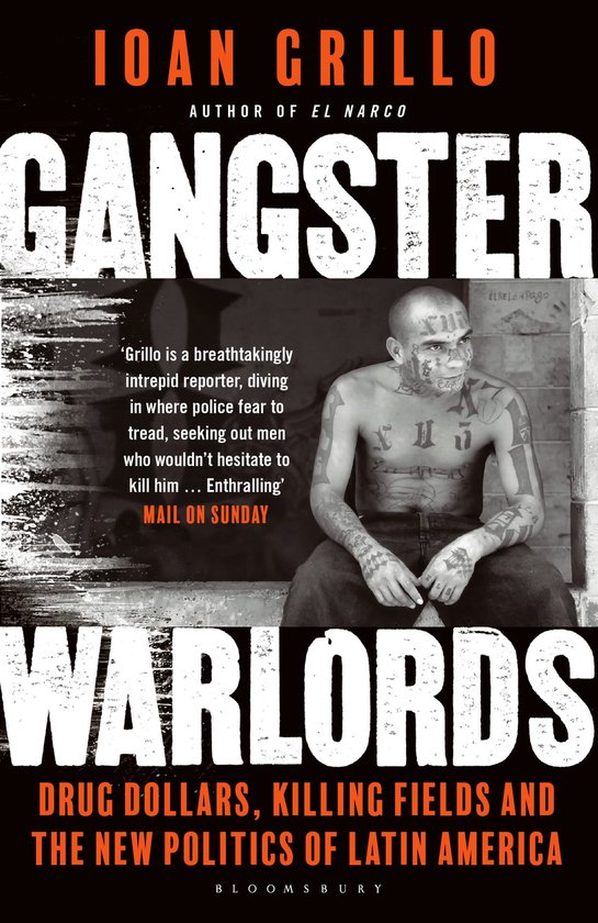 Gangster Warlords Drug Dollars, Killing Fields, and the New Politics of Latin America