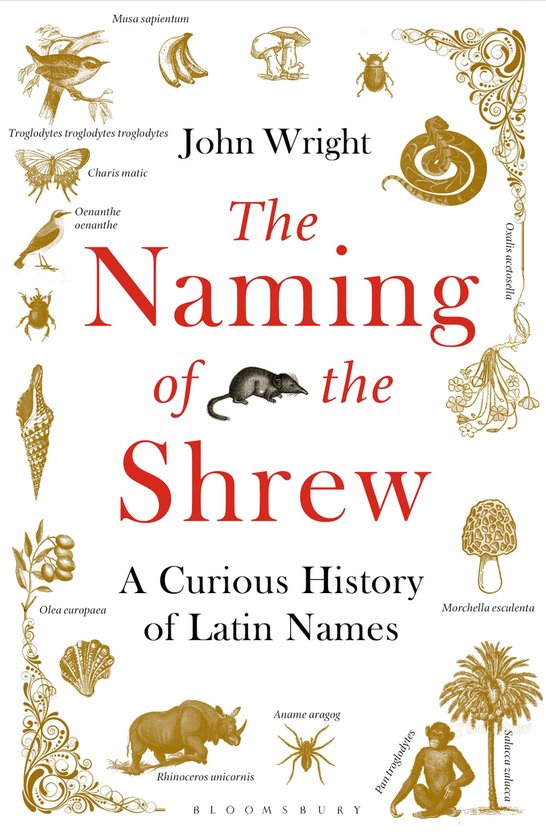 Naming Of The Shrew