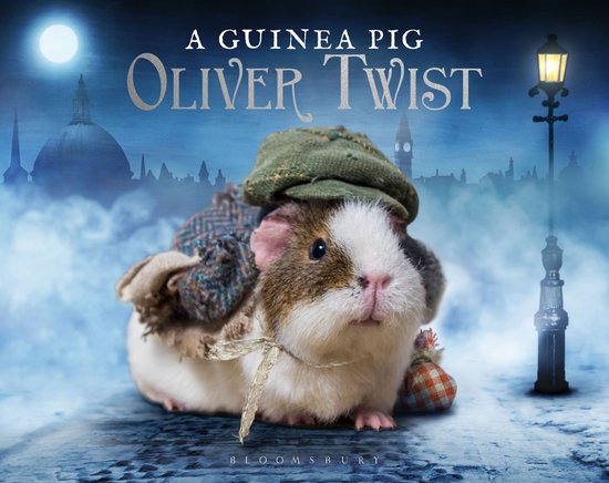 Guinea Pig Oliver Twist