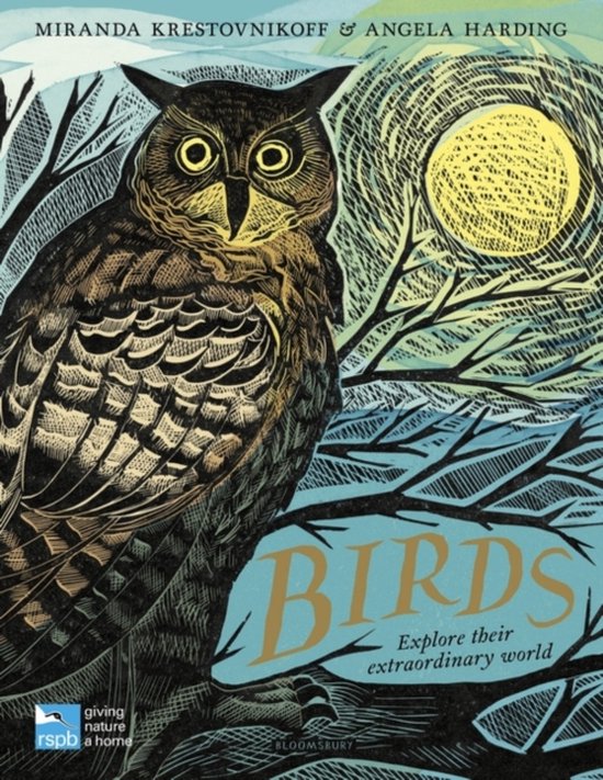 RSPB Birds Explore their extraordinary world