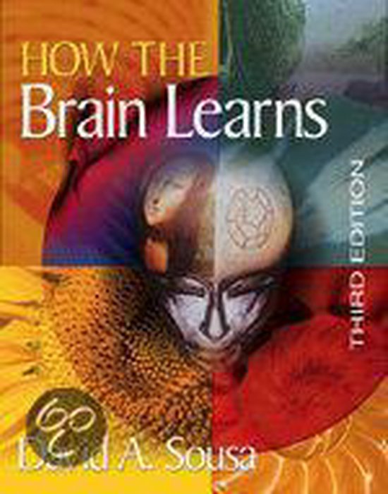 How The Brain Learns