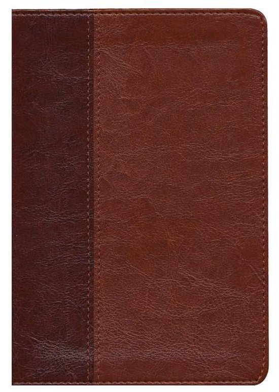 Slimline Center Column Reference Bible-Nlt-Large Print Compa