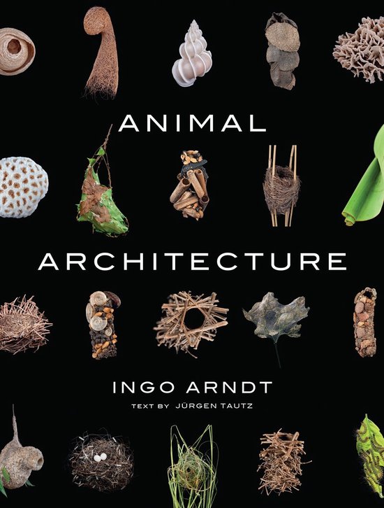 Animal Architecture: Photographs of Natural Habitats