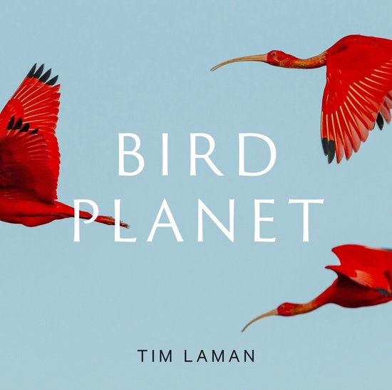 Bird Planet