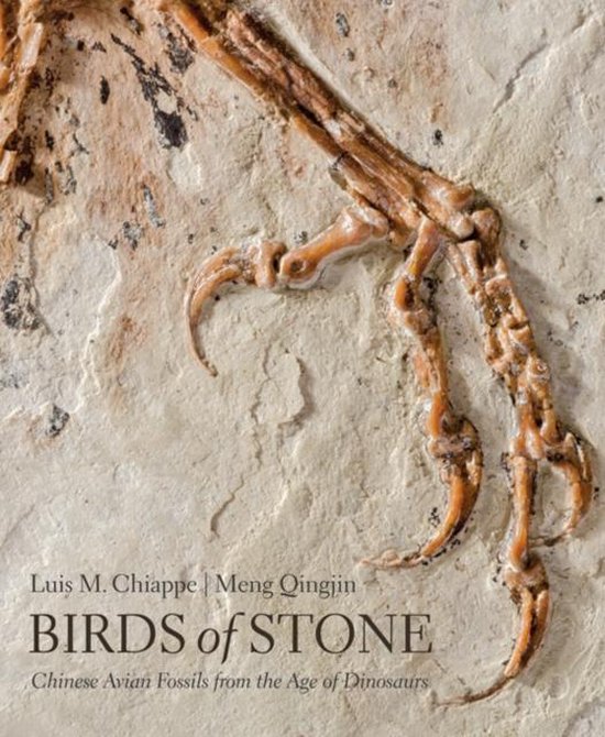 Birds of Stone - Chinese Avian Fossils from the Age of Dinosaurs