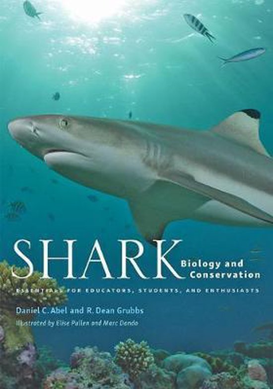 Shark Biology and Conservation – Essentials for Educators, Students, and Enthusiasts