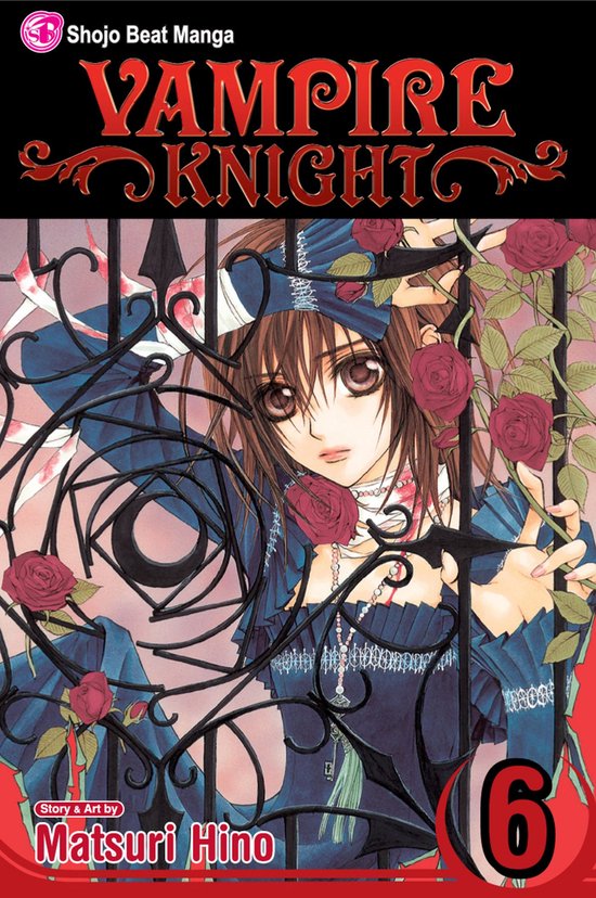 Vampire Knight Vol 6