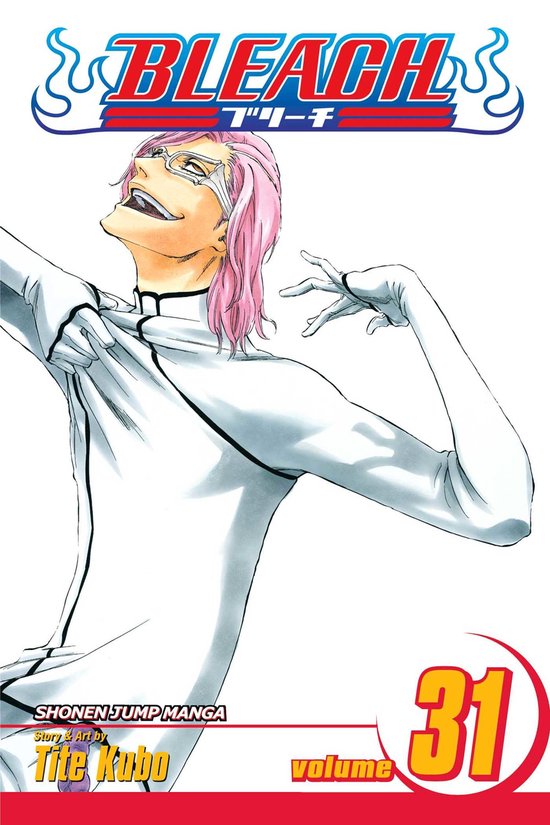 Bleach Vol 31