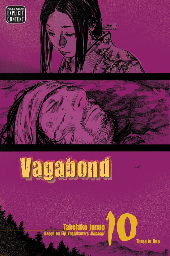 Vagabond 10