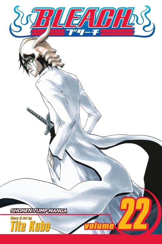 Bleach 22 - Bleach, Vol. 22