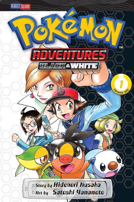 Pokemon Adventures Black & White