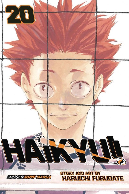 Haikyu, Vol 20 Particular Volume 20