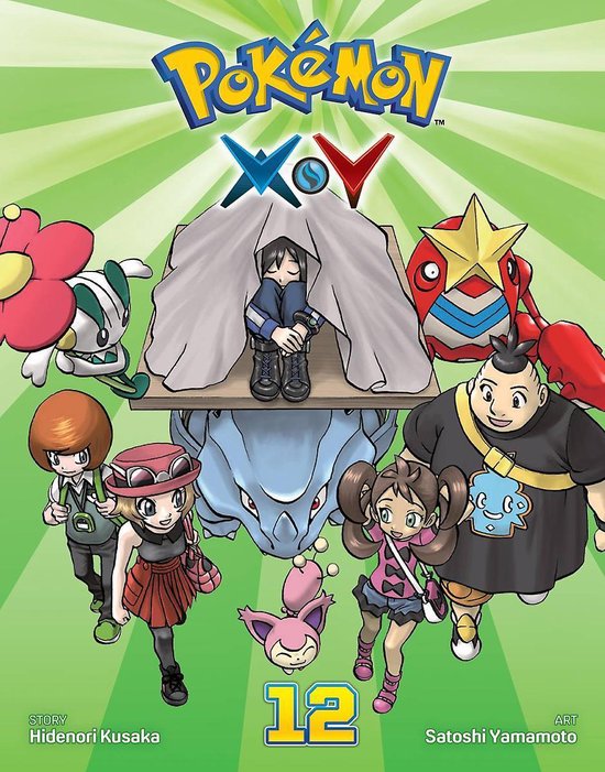 Pokémon Xy 12