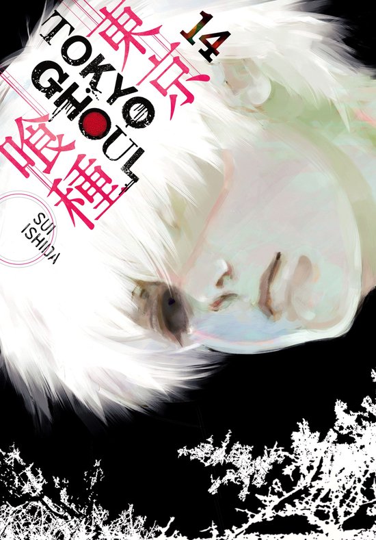 Tokyo Ghoul 14 - Tokyo Ghoul, Vol. 14