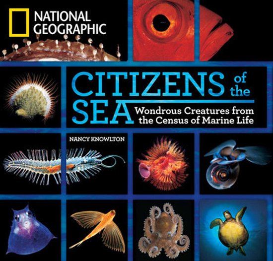 Citizens Of The Sea