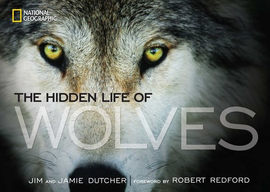 Hidden Life Of Wolves