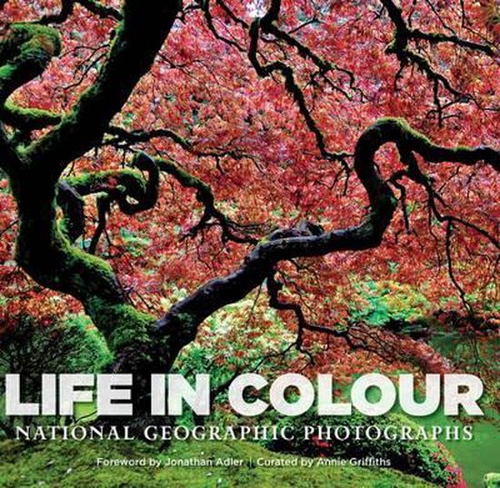 Life In Colour