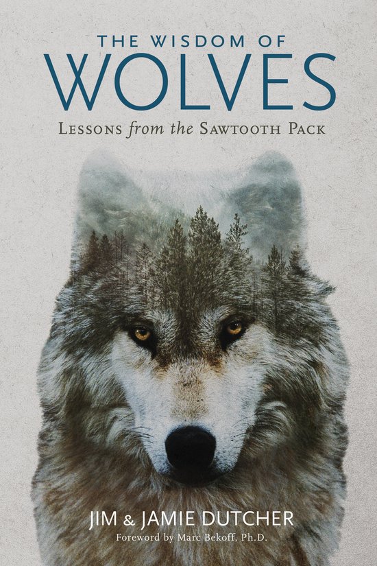 The Wisdom of Wolves Lessons From the Sawtooth Pack