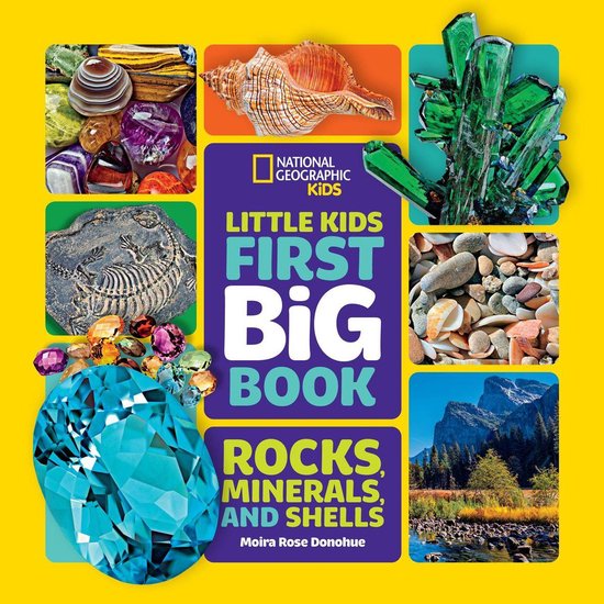 Little Kids First Big Books - Little Kids First Big Book of Rocks, Minerals & Shells