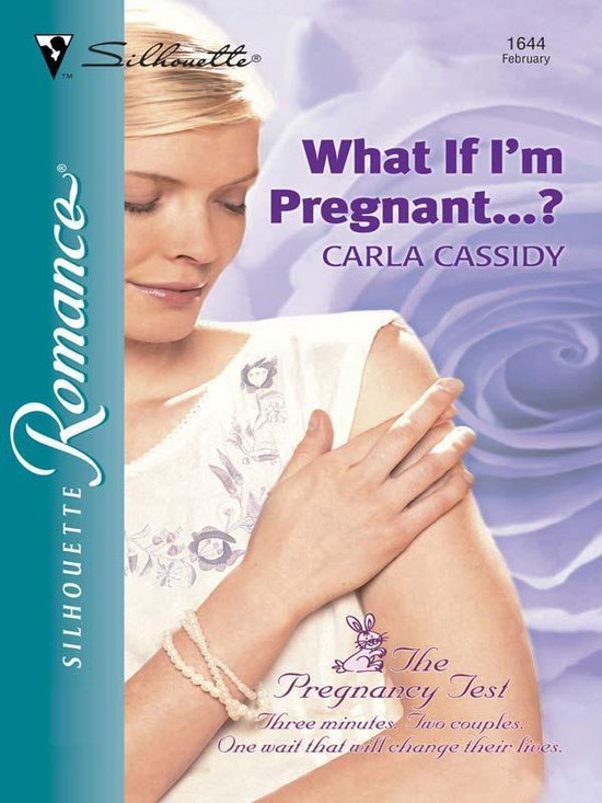 The Pregnancy Test 1 - What If I'm Pregnant...?