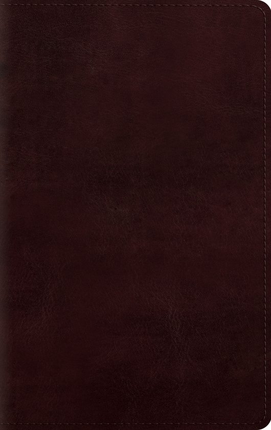 ESV Large Print Personal Size Bible