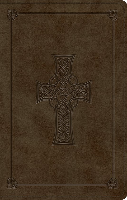 ESV Large Print Value Thinline Bible