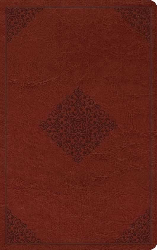 ESV Large Print Value Thinline Bible