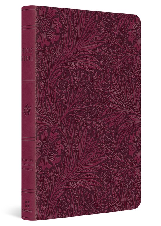 ESV Large Print Value Thinline Bible