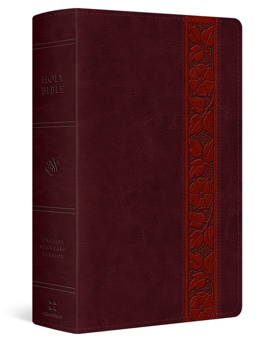 ESV Large Print Personal Size Bible