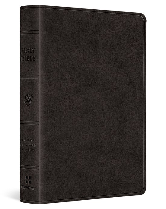 ESV Value Large Print Compact Bible