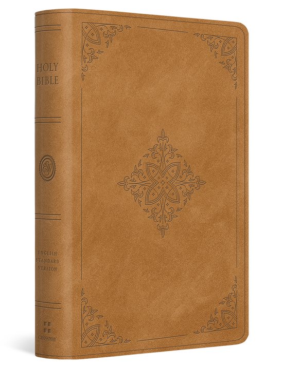 ESV Large Print Bible