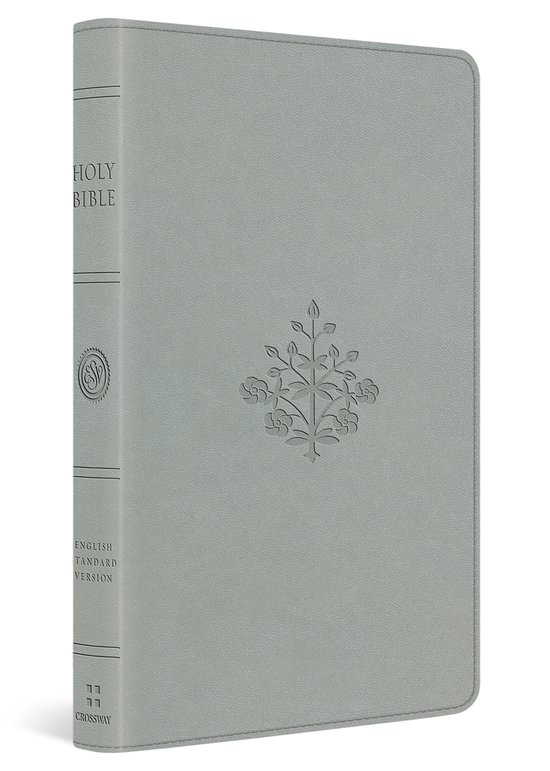 ESV Large Print Value Thinline Bible