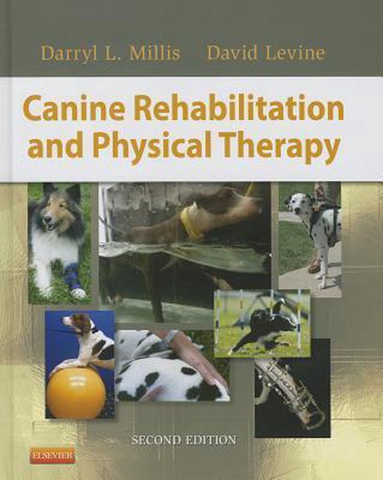 Canine Rehab & Physical Therapy 2