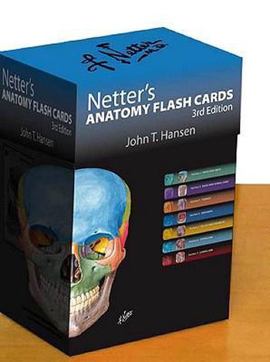 Netter's Anatomy Flash Cards