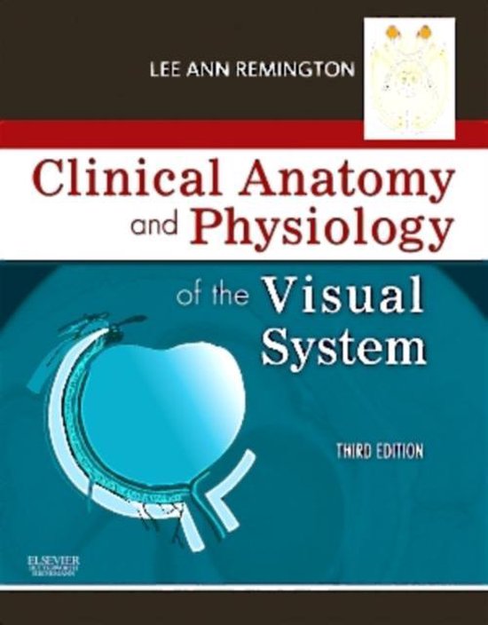 Clinical Anatomy and Physiology of the Visual System