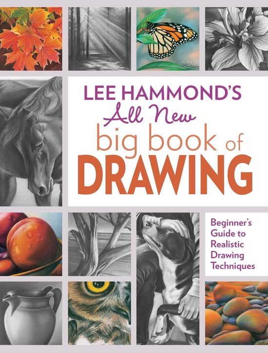 Lee Hammond's All New Big Book of Drawing