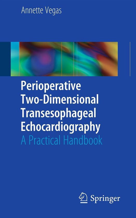 Perioperative Two-Dimensional Transesophageal Echocardiography