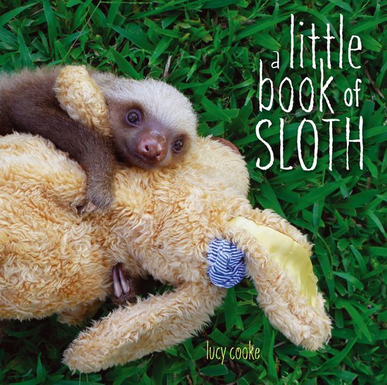 Little Book Of Sloth