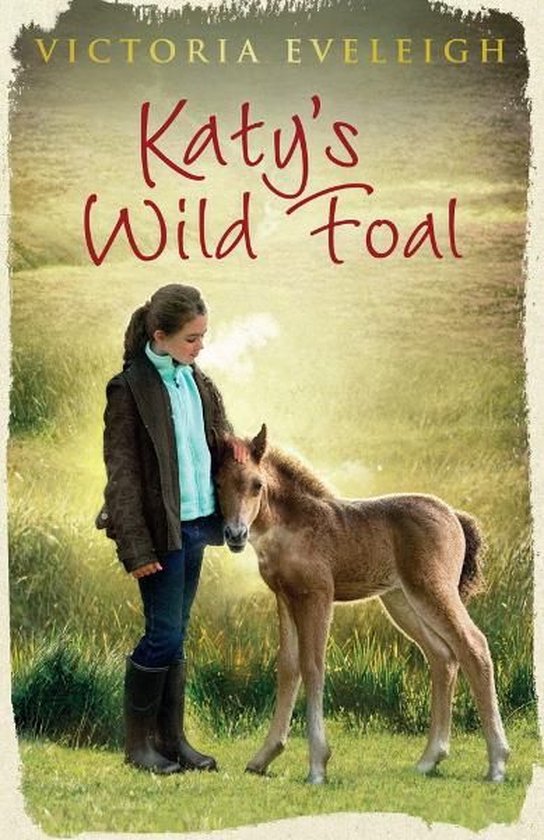 Katy's Exmoor Ponies 1 - Katy's Wild Foal