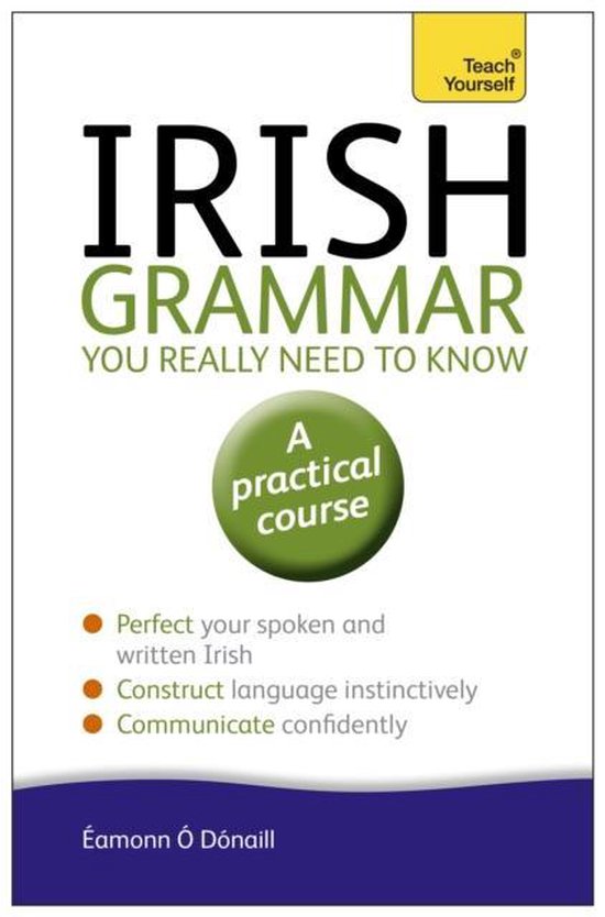 Irish Grammar You Really Need To Know: Teach Yourself