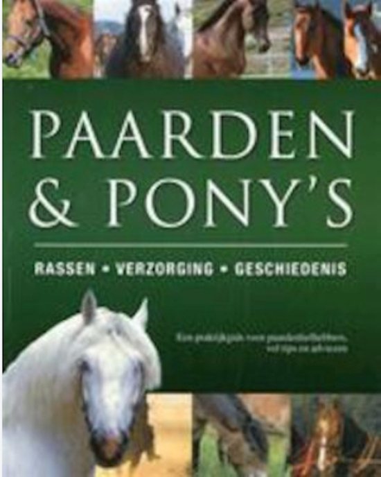 Paarden en pony's