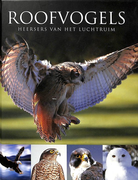 Roofvogels