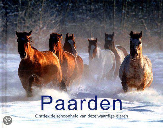 Ontdek Paarden