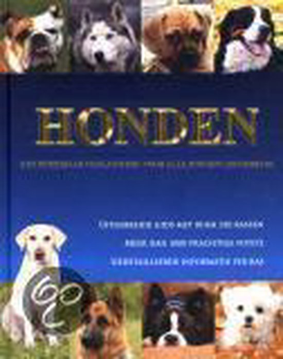 Honden