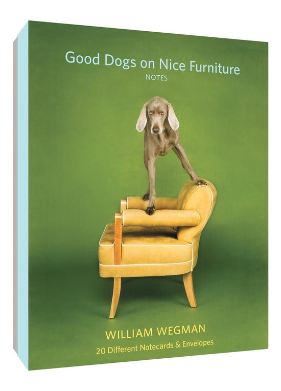 Good Dogs on Nice Furniture Notes