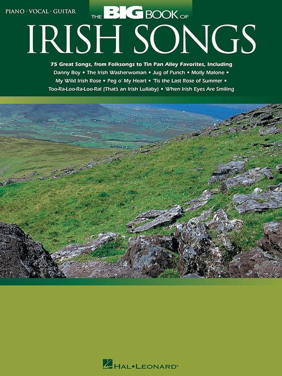 The Big Book of Irish Songs (Songbook)
