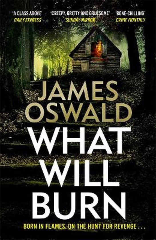 The Inspector McLean Series- What Will Burn