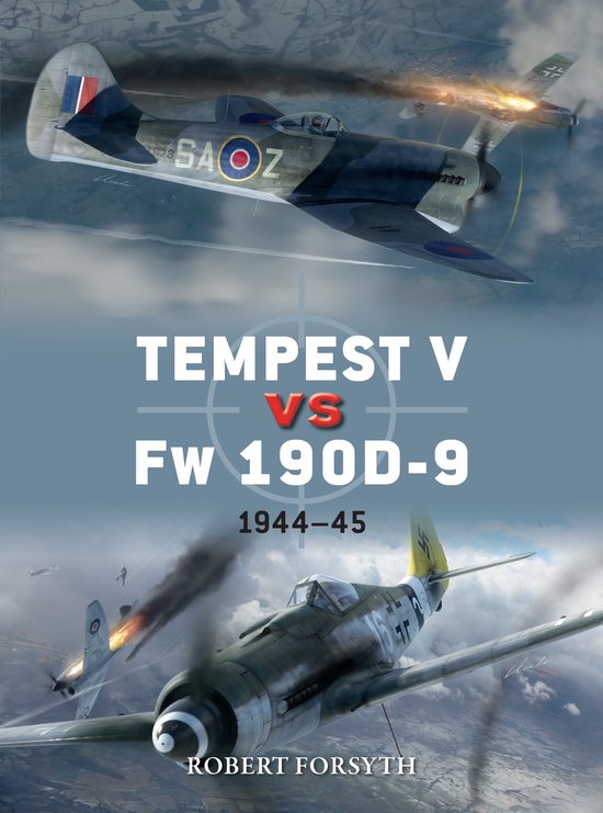 Tempest V vs Fw 190D9 194445 Duel