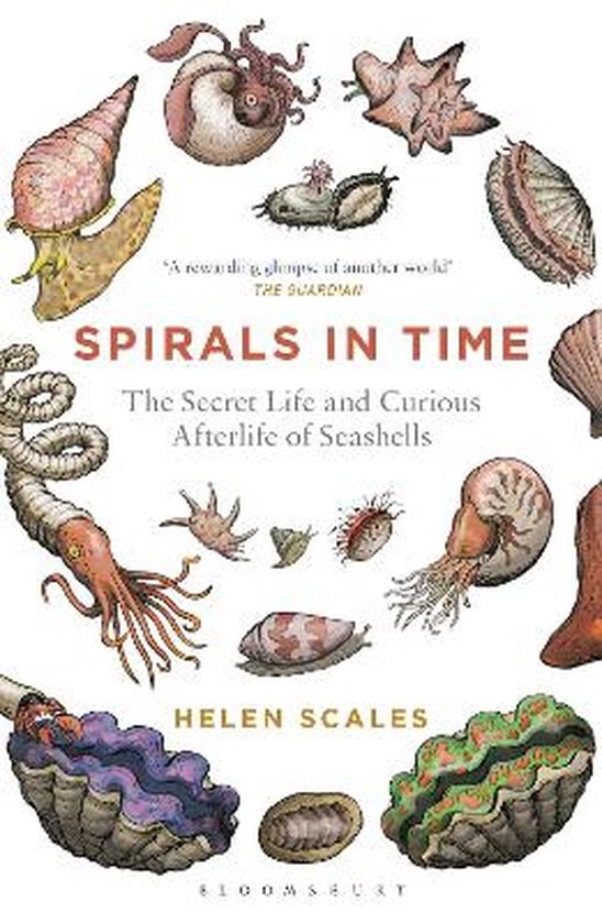 Spirals In Time