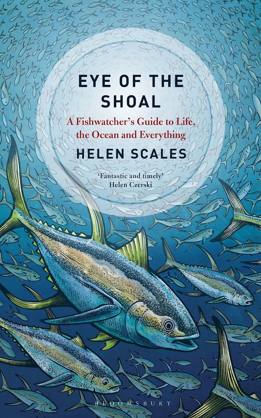 Eye of the Shoal